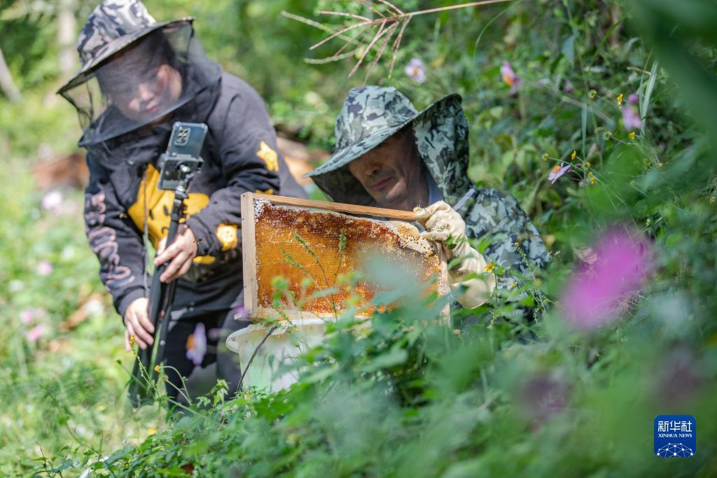华人2娱乐登录网址